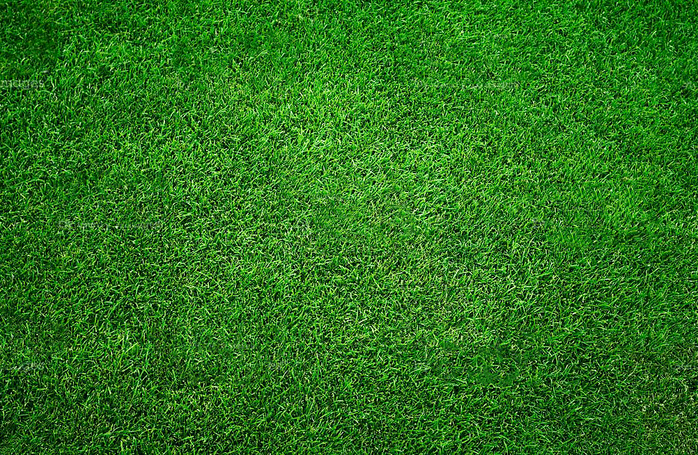 Gazon synthétique copie